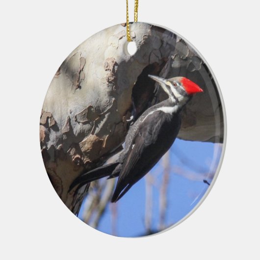 Pileated Specht Keramikornament (Links)
