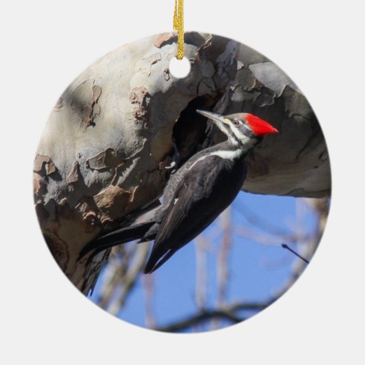 Pileated Specht Keramikornament (Hinten)