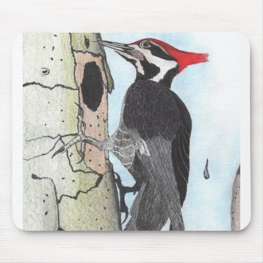 Pileated Specht-Mausunterlage Mousepad (Vorne)