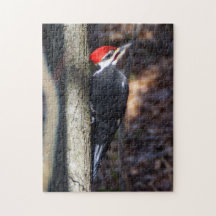 Pileated Specht-Puzzlespiel