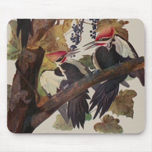 Pileated Woodpecker Audubon Bird Wildlife Painting Mousepad (Vorne)