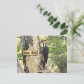 Pileated Woodpecker Ecology Postcard. Postkarte (Stehend Vorderseite)