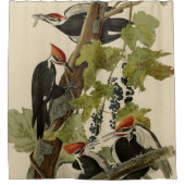 Pileated Woodpecker from Audubon Birds of America Duschvorhang (Vorderseite)