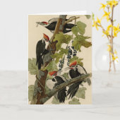 Pileated Woodpecker from Audubon Birds of America Karte (Gelbe Blume)