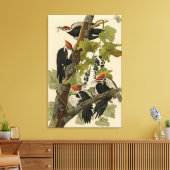 Pileated Woodpecker from Audubon Birds of America Leinwanddruck (Insitu (Wohnzimmer))