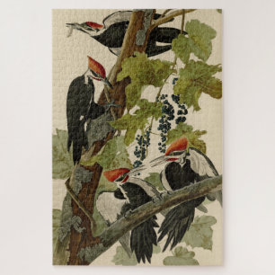 Pileated Woodpecker from Audubon Birds of America Puzzle