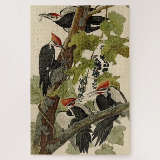 Pileated Woodpecker from Audubon Birds of America Puzzle (Vertikal)