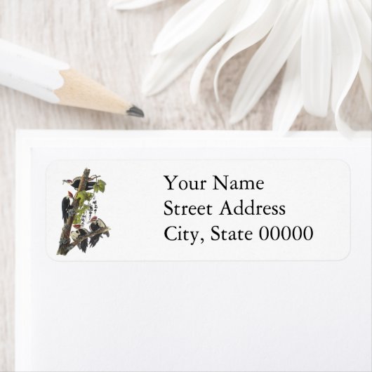 Pileated Woodpecker, John Audubon (Insitu)