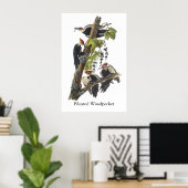 Pileated Woodpecker, John Audubon Poster (Heimbüro)