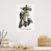 Pileated Woodpecker, John Audubon Poster (Küche)