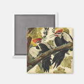 Pileated Woodpecker, John James Audubon Magnet (Vorderseite/Rückseite)