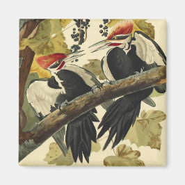 Pileated Woodpecker, John James Audubon Magnet