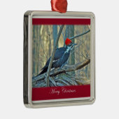 Pileated Woodpecker Merry Silbernes Ornament (Rechts)