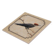 Pileated Woodpecker Tan Fliese (Seite)