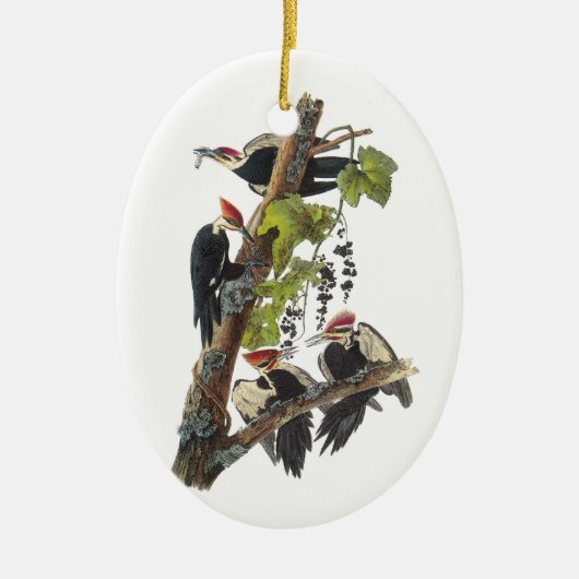Pileated Woodpecker von Audubon Keramikornament (Vorne)