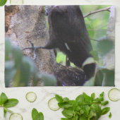 Piletierter Woodpecker Küche Handtuchgeschirr Geschirrtuch (Gefaltet)