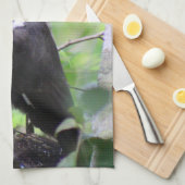 Piletierter Woodpecker Küche Handtuchgeschirr Geschirrtuch (Viertel Falte)