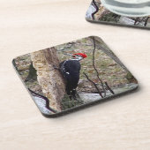 Piletierter Woodpecker Square Untersetzer (Linke Seite)