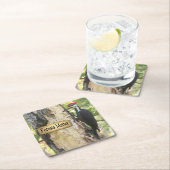 Piletiertes Woodpecker Ecology Untersetzer Set (Vor Ort)