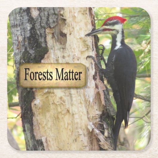 Piletiertes Woodpecker Ecology Untersetzer Set (Vorderseite)