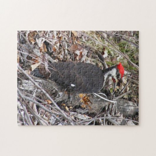 Piletiertes Woodpecker Puzzle (Horizontal)
