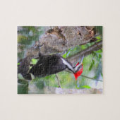 Piletiertes Woodpecker Puzzle (Horizontal)