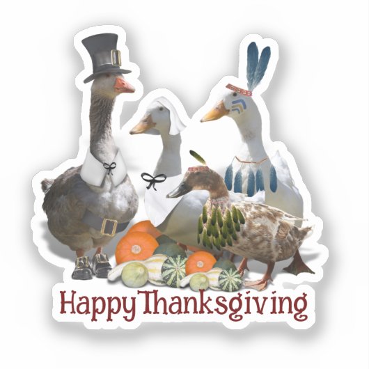 Pilgrim Goose Ducks Thanksgiving Aufkleber (Vorderseite)