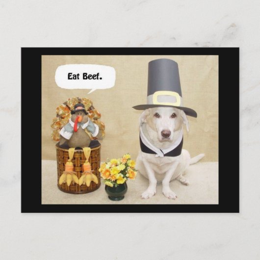 Pilgrim Myrtie Postkarte (Vorderseite)