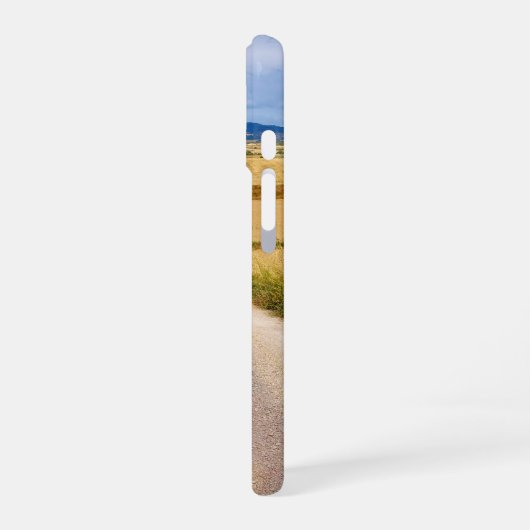 Pilgrimische Schatten iPhone 16 Hülle (Linke Seite)