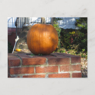 Pillar Pumpkin Postkarte