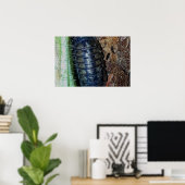 Pillenbug (Foto) - Plakat (Heimbüro)