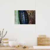 Pillenbug (Foto) - Plakat (Küche)