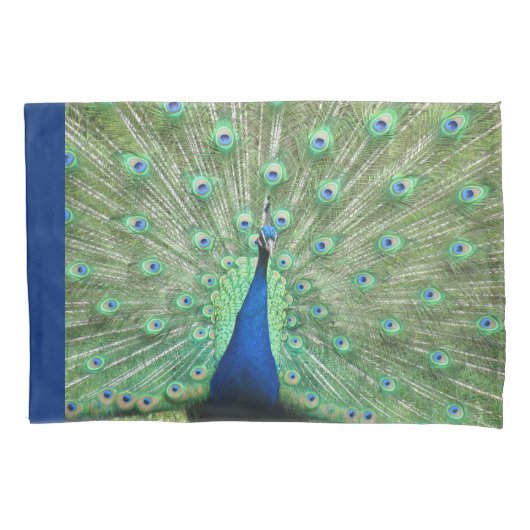 Pillow Hüllen - Proud Peacock Kissenbezug (Vorderseite)