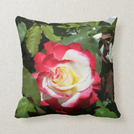 Pillow mit Rot gespitzter herrlicher Kissen