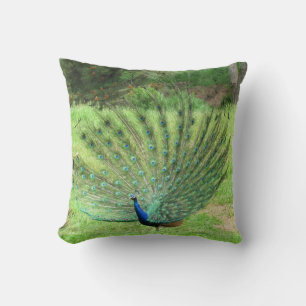 Pillow - Peacock Kissen