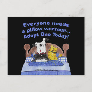 Pillow Warmers Postkarte