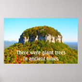 Pilot Berglandschaft und Bäume Poster (Vorne)