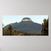 Pilot Mountain Poster (Vorne)