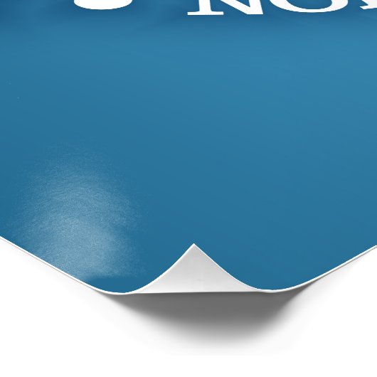 Pilot Mountain SP Poster (Ecke)