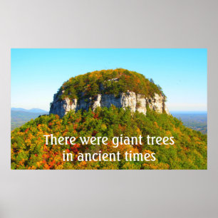 Pilot Mountan Landschaft und Bäume Poster