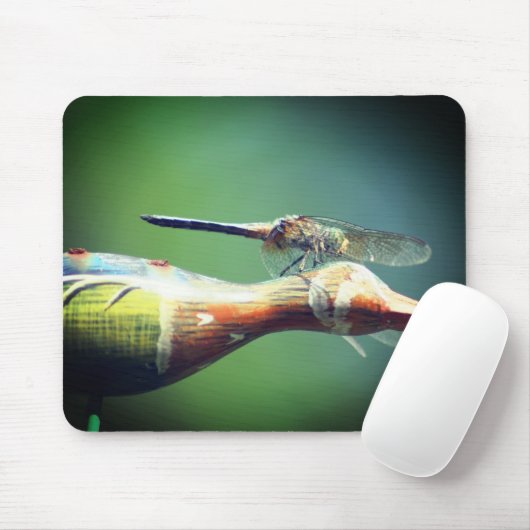 Pilotart "Drachenfliege" Mousepad (Mit Mouse)