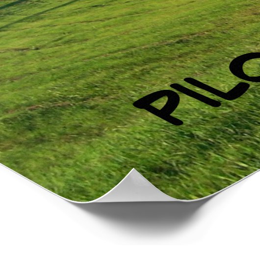 PILOTBERG, NORDKAROLINA POSTER (Ecke)