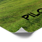 PILOTBERG, NORDKAROLINA POSTER (Ecke)