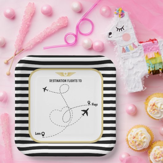 Pilotenflugverkehr Pappteller (Party)