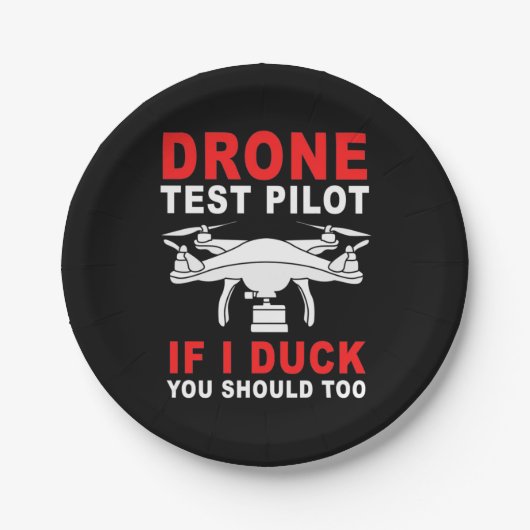 Pilotprogramm für Drohnenprüfungen Pappteller (Vorderseite)