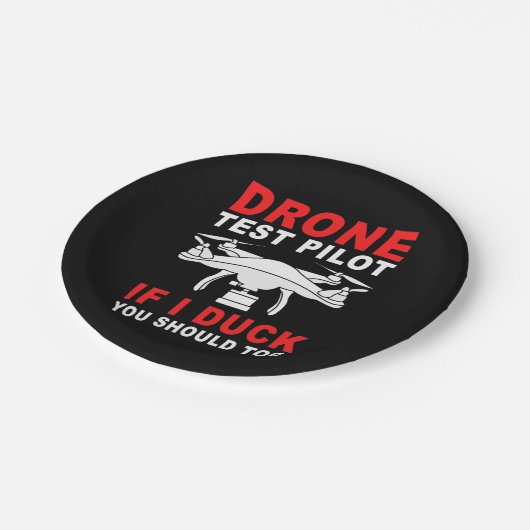 Pilotprogramm für Drohnenprüfungen Pappteller (Schrägansicht)