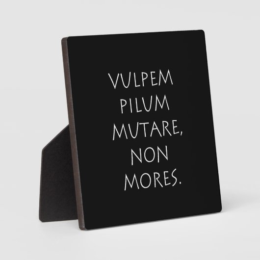 Pilummutare Fotoplatte (Vorderseite)