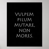 Pilummutare Poster (Vorne)