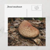 Pilz 149 ~ Postkarte (Vorne/Hinten)