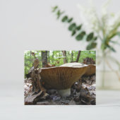 Pilz 161 ~ Postkarte (Stehend Vorderseite)